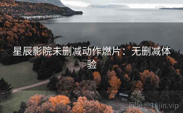星辰影院未删减动作燃片：无删减体验