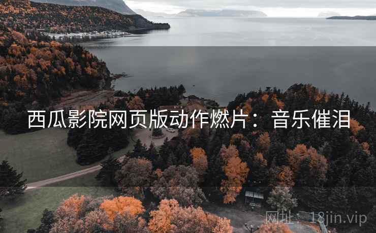 西瓜影院网页版动作燃片：音乐催泪