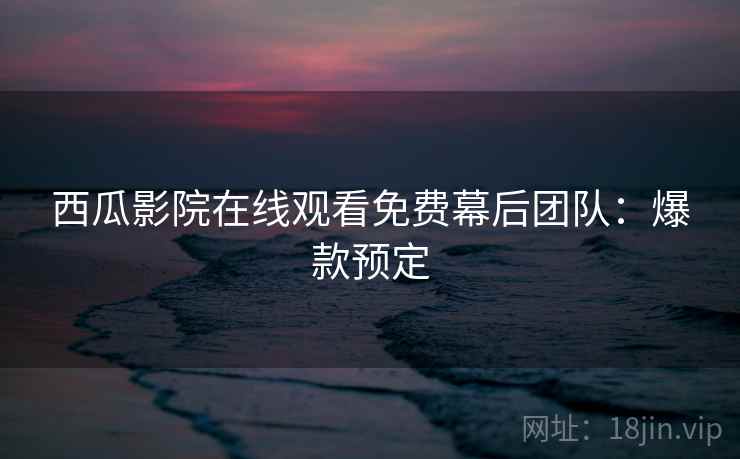 西瓜影院在线观看免费幕后团队：爆款预定