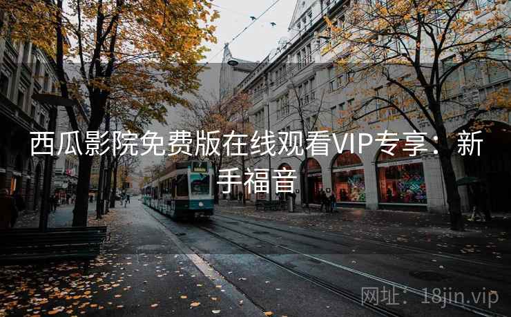 西瓜影院免费版在线观看VIP专享：新手福音